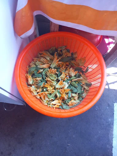Flores de calabaza frescas